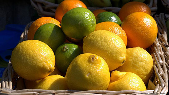 Limon Asidi Kullanımı ve Özellikleri