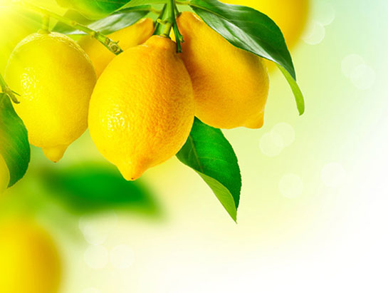 Limon Kaç Kalori?